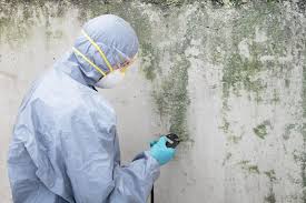 Best Comprehensive Air Testing for Mold Contaminants  in Whitehouse, OH